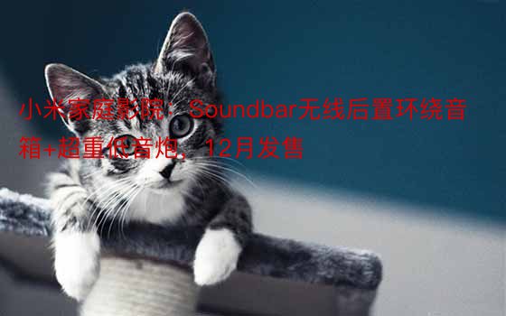 小米家庭影院：Soundbar无线后置环绕音箱+超重低音炮，12月发售