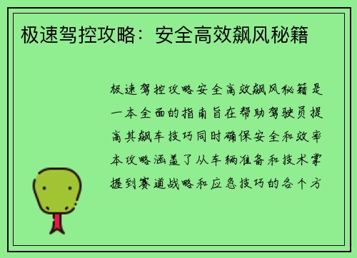 极速驾控攻略：安全高效飙风秘籍
